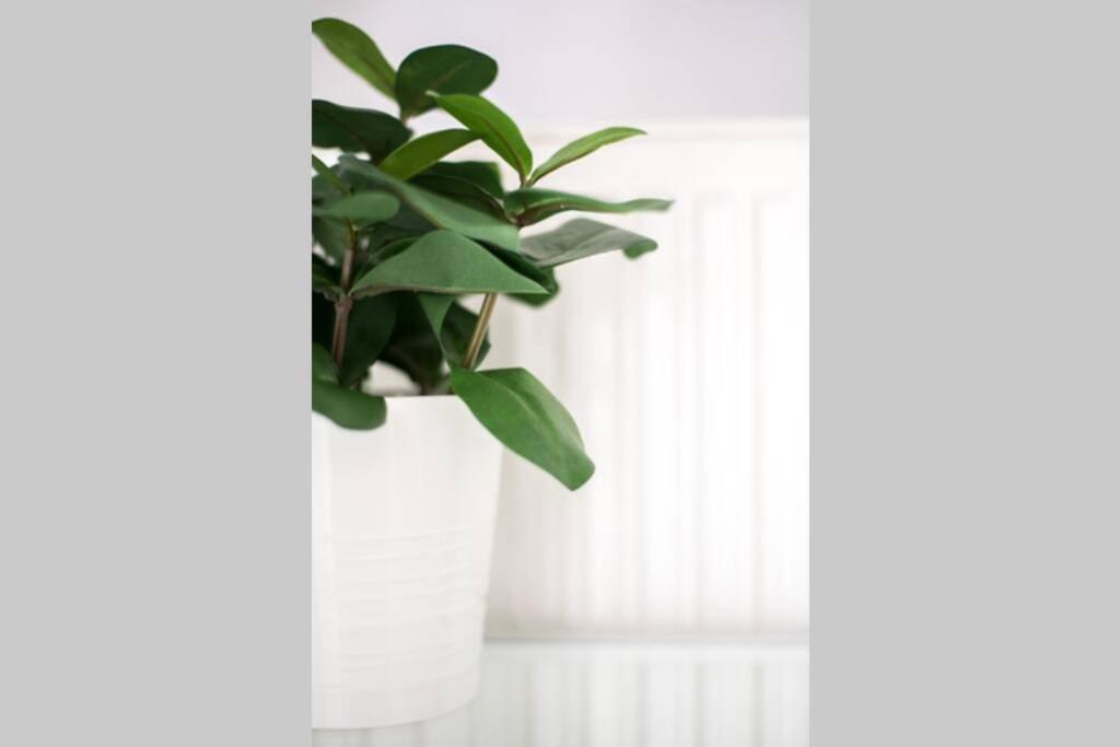 Your Cozy Downtown Home - Apartment Larissa Extérieur photo